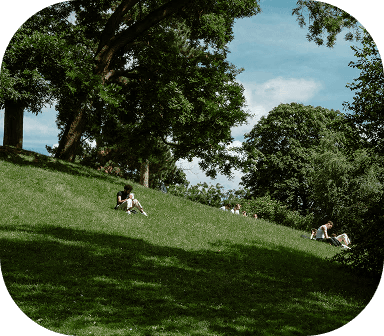 OrgIt raises a €1M pre-seed round to bring AI into Sports Management